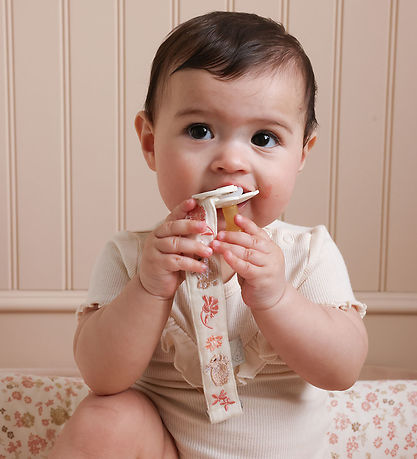 Cam Cam Suttesnor - Augusta