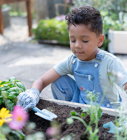 Little Dutch Haveredskaber - 3-pak - Forest Friends - Blå