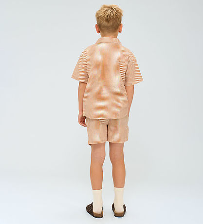 The New Shorts - TnOllie - Indian Tan Striped