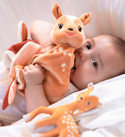 Sophie la Girafe Nusseklud - FanFan le Faon