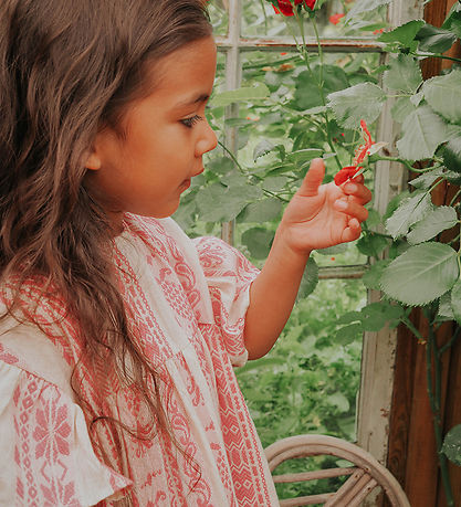 Fliink Kjole - Addie - Cloud Dancer Pink Stripe