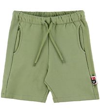 DYR Sweatshorts - DyrSafari - Sage DYR Sweatshorts - DyrSafari - Sage