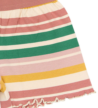 The New Shorts - TNOhara - Rib - Multi Striped The New Shorts - TNOhara - Rib - Multi Striped