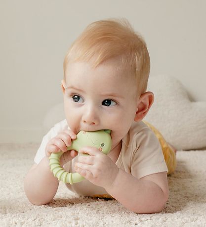 Tiger Tribe Bidering - Silikone - Dino Tiger Tribe Bidering - Silikone - Dino