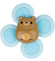 Tiger Tribe Legetøj - Sensory Spinner - Bear Tiger Tribe Legetøj - Sensory Spinner - Bear