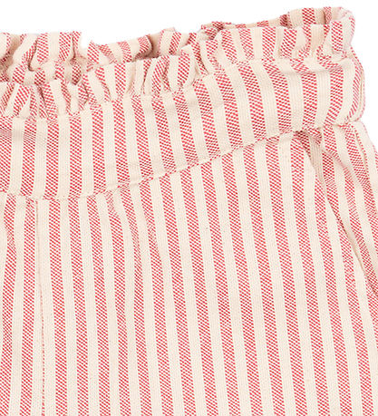 The New Shorts - TNPaige - Geranium The New Shorts - TNPaige - Geranium