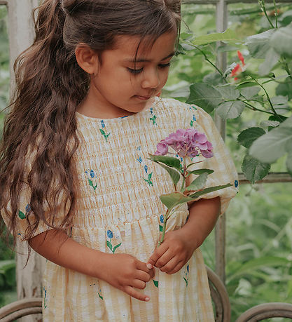 Fliink Kjole - Agnes - Sunlight Flower Aop