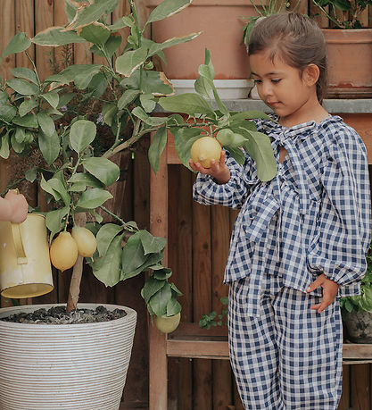 Fliink Bluse - Zorro - Insignia Sandshell Check