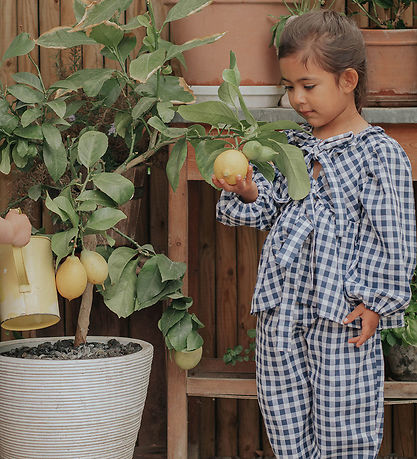 Fliink Bukser - Zorro - Insignia Sandshell Check Fliink Bukser - Zorro - Insignia Sandshell Check