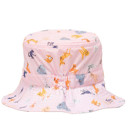 Herschel Bøllehat - Dog Show Herschel Bøllehat - Dog Show