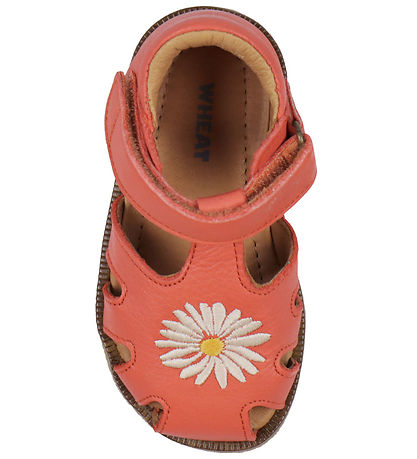 Sandales Wheat - Lowe - Coral