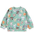 Molo Sweatshirt - Disc - Itty Bitty Molo Sweatshirt - Disc - Itty Bitty