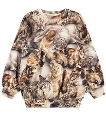 Molo Sweatshirt - Monti - Cattitudes Molo Sweatshirt - Monti - Cattitudes