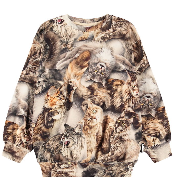 Molo Sweatshirt - Monti - Cattitudes