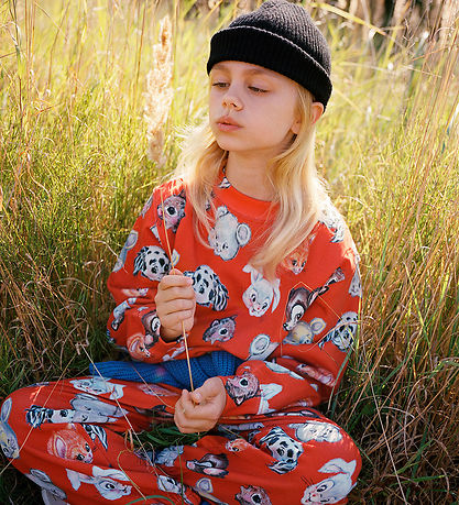 Molo Sweatshirt - Marge - Uppgående sol
