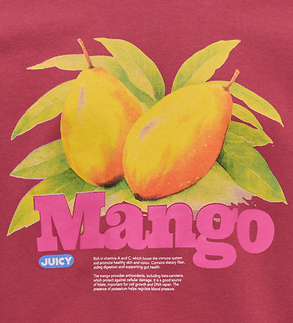 Kids Only Sweatshirt - KonPhilea - Earth Red/Mango