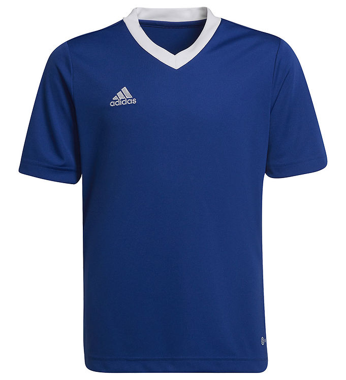 adidas Performance T-shirt - ENT22 - Royblu