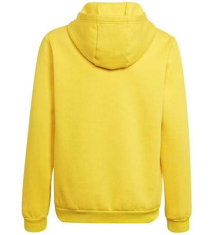 Sweat à Capuche adidas Performance - ENT22 - Tmyell/Noir