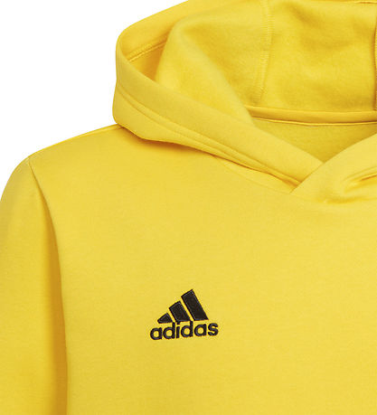 Sweat à Capuche adidas Performance - ENT22 - Tmyell/Noir
