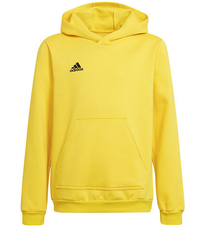 Sweat à Capuche adidas Performance - ENT22 - Tmyell/Noir