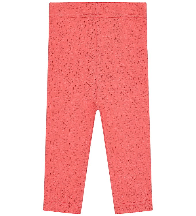 Hust and Claire Leggings - Lisa Pointelle Flower - Wild Coral