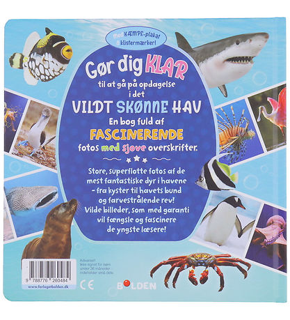 Forlaget Bolden Billedbog - Vildt Skønne Hav Forlaget Bolden Billedbog - Vildt Skønne Hav