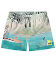 Molo Badeshorts - UV50+ - Niko - Leo On Surf Molo Badeshorts - UV50+ - Niko - Leo On Surf