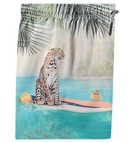 Molo Badeshorts - UV50+ - Niko - Leo On Surf