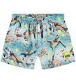 Molo Badeshorts - UV50+ - Niko - Marine Turtles Molo Badeshorts - UV50+ - Niko - Marine Turtles