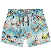 Molo Badeshorts - UV50+ - Niko - Marine Turtles Molo Badeshorts - UV50+ - Niko - Marine Turtles