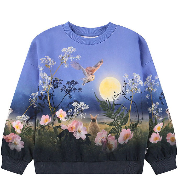 Molo Sweatshirt - Maxi - Magic Moonrise