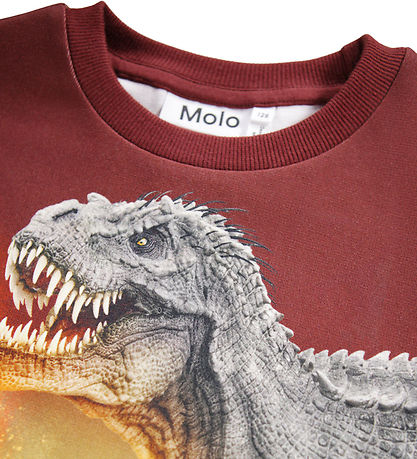 Molo Bluse - Miksi - Dino Landscape