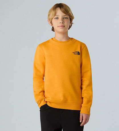 The North Face Sweatshirt - Reg Crew - Summit Gold m. Print