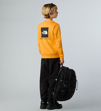 The North Face Sweatshirt - Reg Crew - Summit Gold m. Print