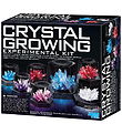 4M Sæt - Crystal Growing Experimental Kit 4M Sæt - Crystal Growing Experimental Kit