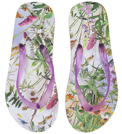 Molo Klipklapper - Zeppo - Wild Nature