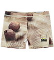 Molo Badebukser - UV50+ - Norton - Coconuts Molo Badebukser - UV50+ - Norton - Coconuts
