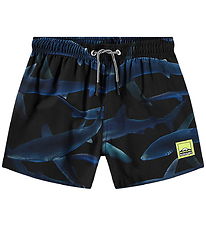 Molo Badeshorts - UV50+ - Niko - Midnight Sharks Molo Badeshorts - UV50+ - Niko - Midnight Sharks