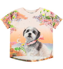 Molo T-shirt - Raeesa - Festivalgoers Molo T-shirt - Raeesa - Festivalgoers