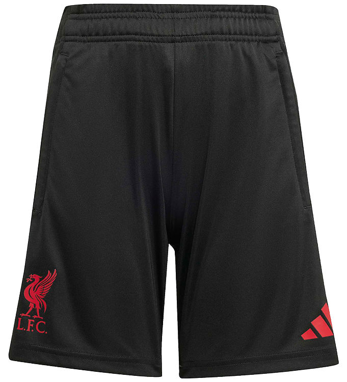 adidas Performance Shorts - Liverpool - Sort