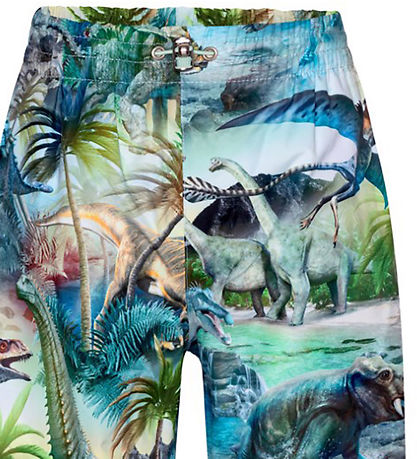 Molo Regnbukser - PE - Waits - Dino Fantastic Molo Regnbukser - PE - Waits - Dino Fantastic