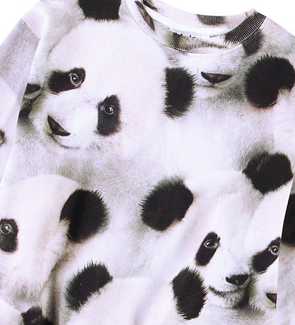 Molo Sweatshirt - Monti - Giant Panda Molo Sweatshirt - Monti - Giant Panda
