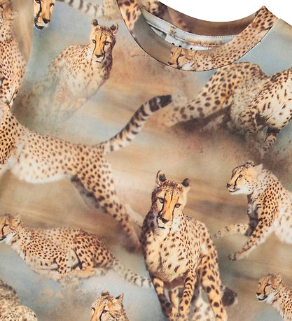Molo T-shirt - Ralphie - Fast Cheetahs Molo T-shirt - Ralphie - Fast Cheetahs