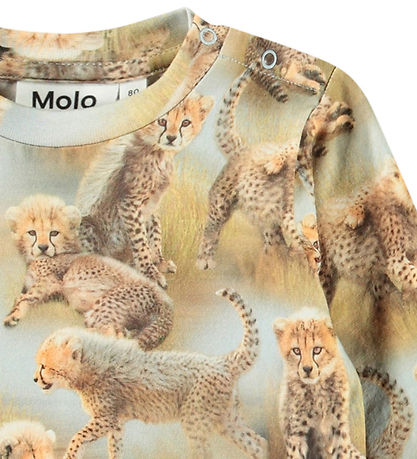 Molo Bluse - Eloy - Cheetah Cubs Molo Bluse - Eloy - Cheetah Cubs