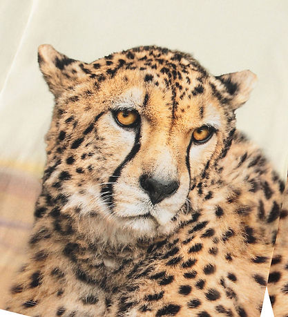 Molo Bluse - Rollo - Big Cheetah Light Molo Bluse - Rollo - Big Cheetah Light
