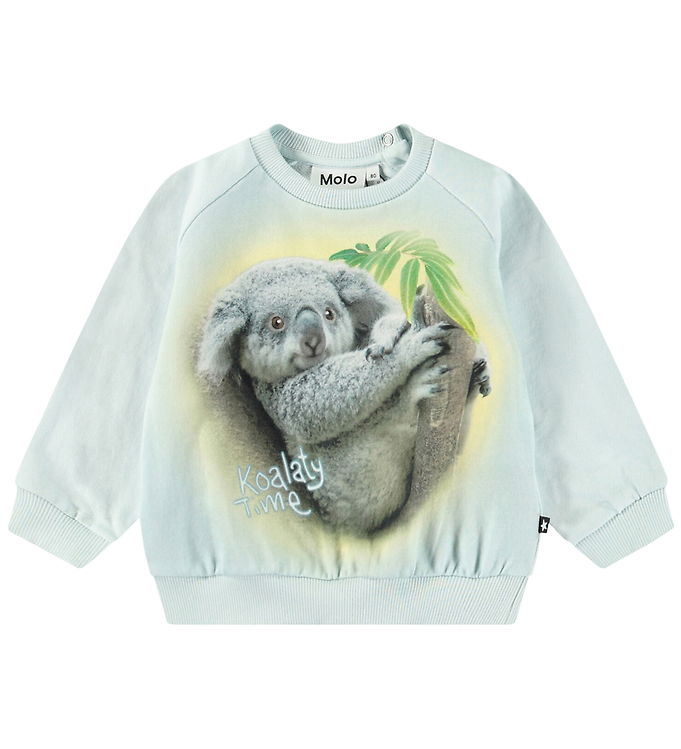 Molo Sweatshirt - Disc - Koalaty Time