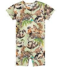 Molo Sommerdragt - Finn - Jungle Cubs Molo Sommerdragt - Finn - Jungle Cubs