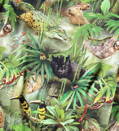 Molo Sweatshirt - Mattis - Jungle Animals