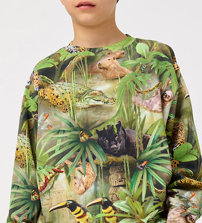 Molo Sweatshirt - Mattis - Jungle Animals