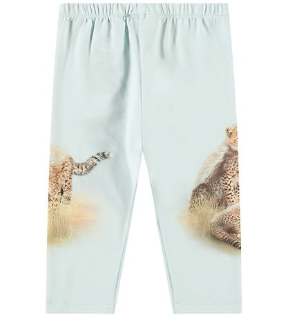 Molo Bukser - Simway - Cheetahs Cute Molo Bukser - Simway - Cheetahs Cute